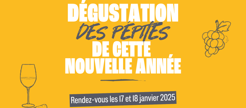 Dégustation des pépites de cette nouvelle année