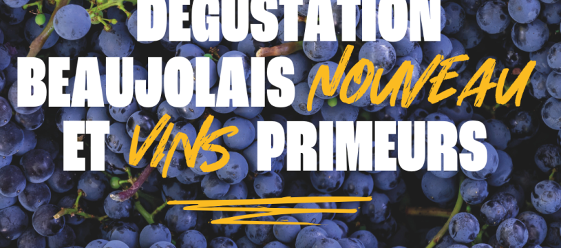 dégustation des primeurs